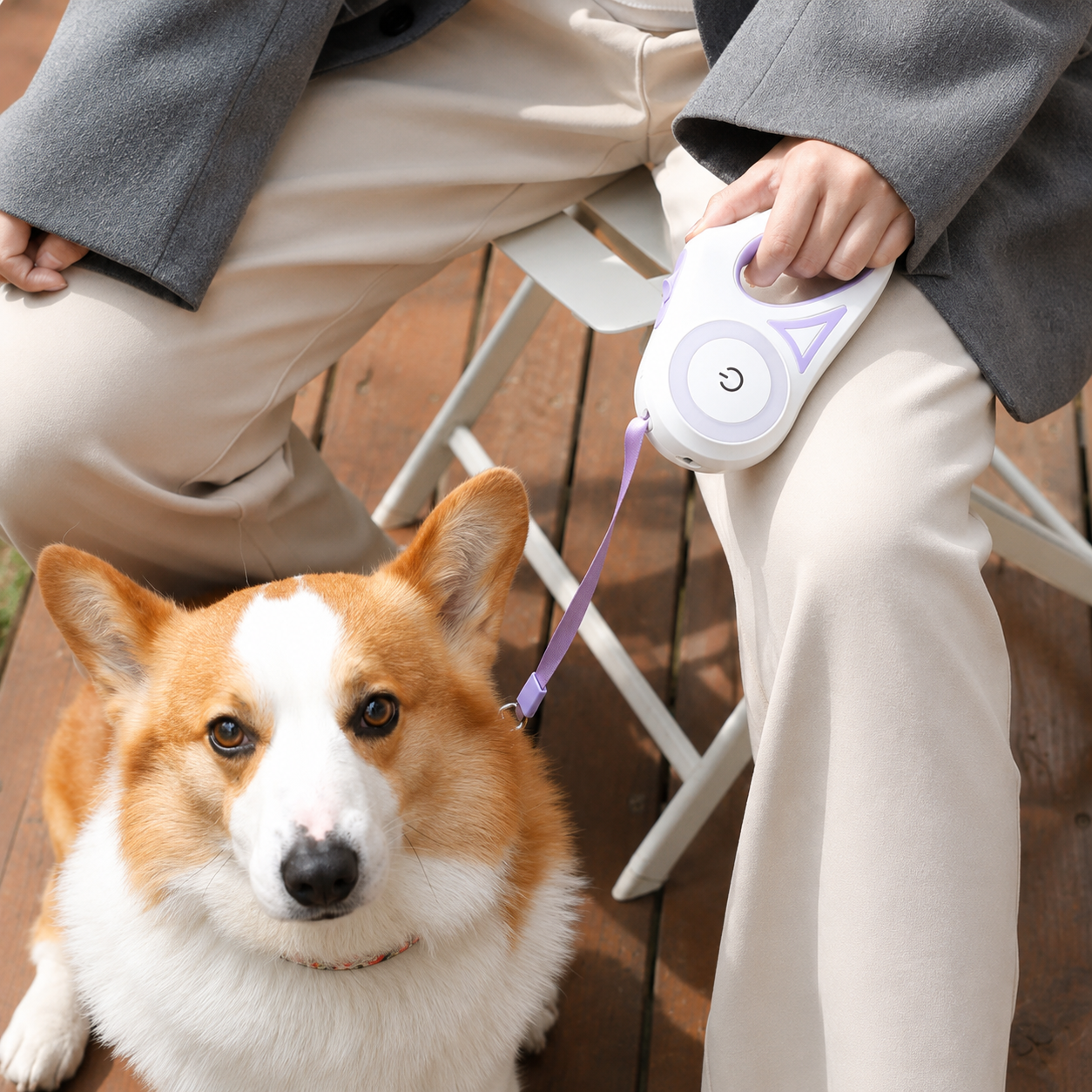 Smart LED retractable pet leash