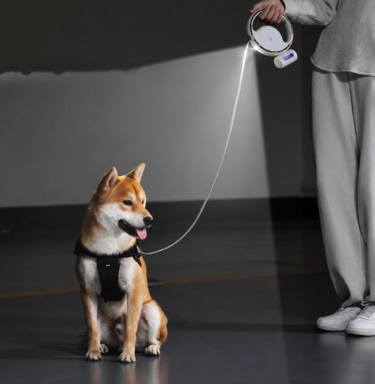 Automatic Lighting Telescopic Dog Leash