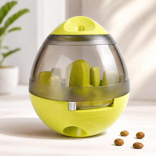 Fun and Dispensing Pet Supplies